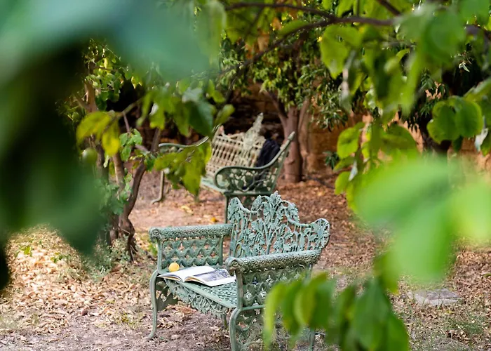 Estate Oasi Verde Casin Anand