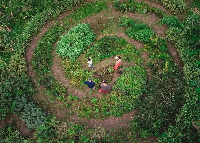 Tierra Activa Alojamiento Eco Rural Finca Organica Y Agroturistica