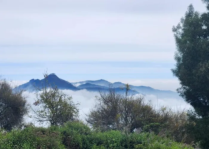 Tranquil Heights