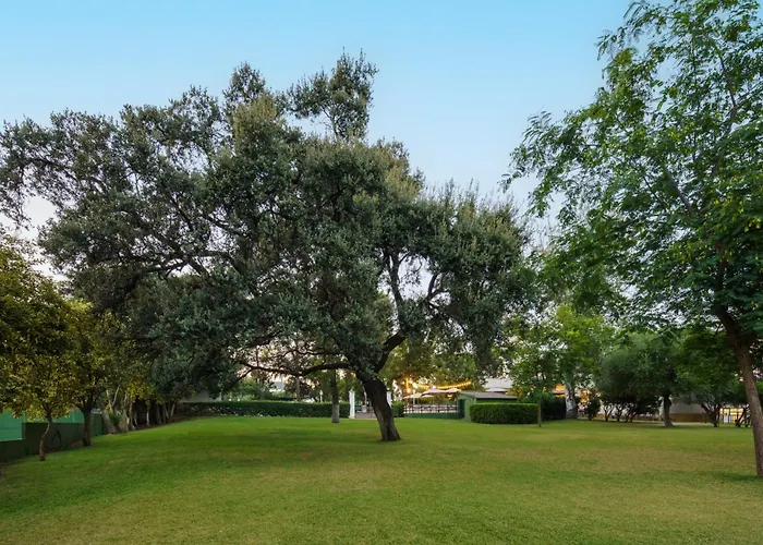 Crisol Jardines De Cordoba