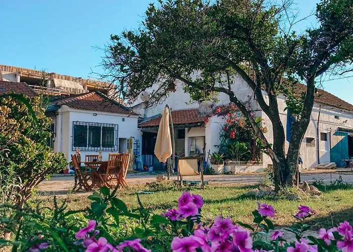 Montijo Garden - Alojamento Rural