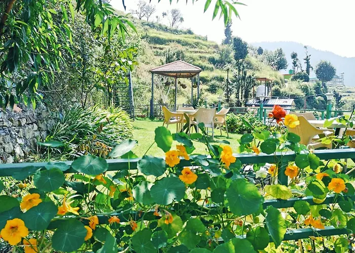 Hotel Alpine Musk