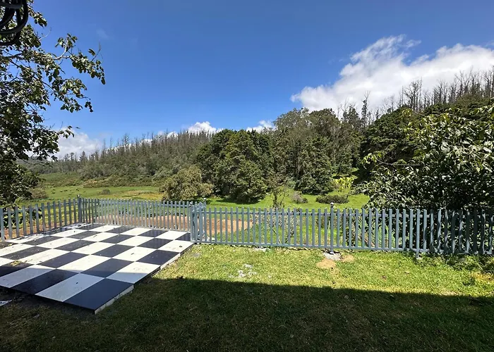 Rr Forest View