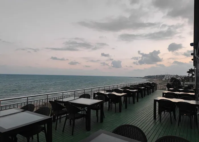 The Elysian Resort Hotel & Restaurant - Bar