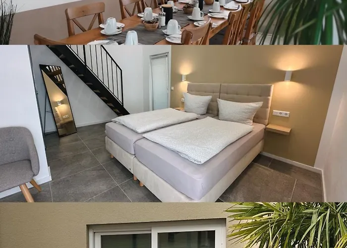 Hotel Traube Rheinhessen