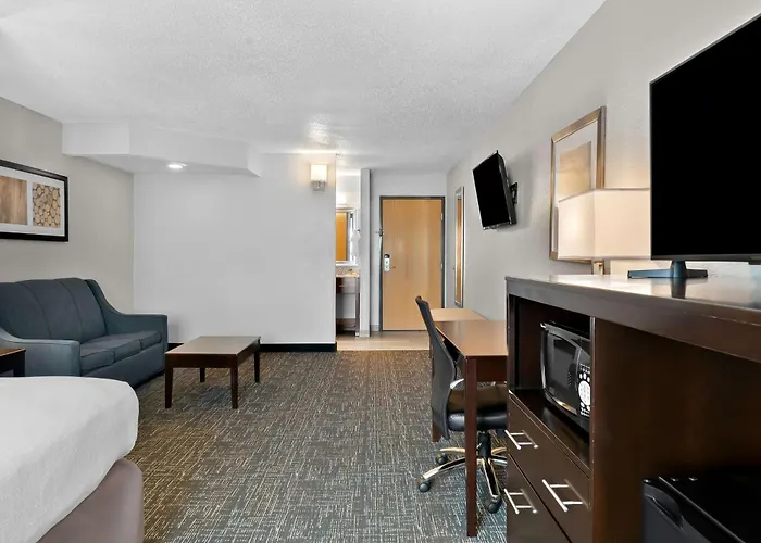 Best Western Plus Flint Airport Inn&Suites