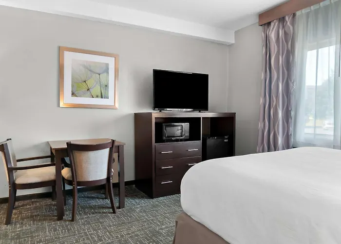 Best Western Plus Flint Airport Inn & Suites