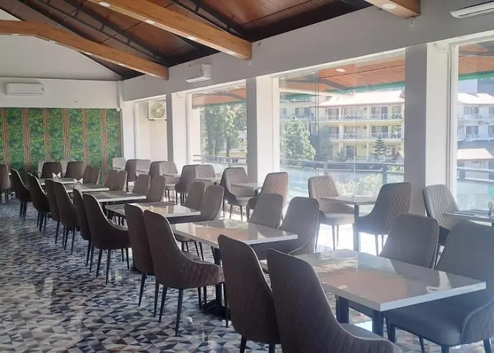 Namami Chail Resort & Spa