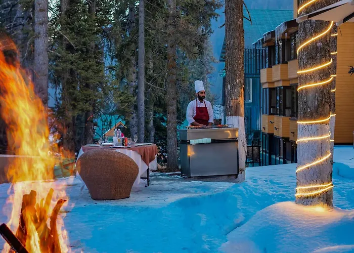 Hotel Pine Spring Gulmarg