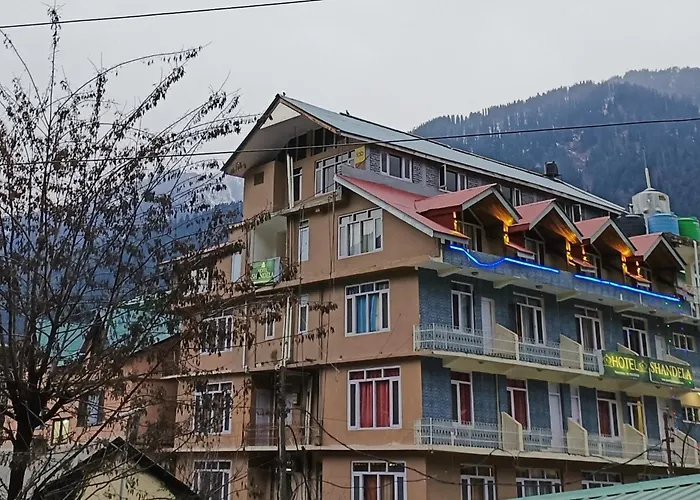 Cs Shhandella Hotel Manali 