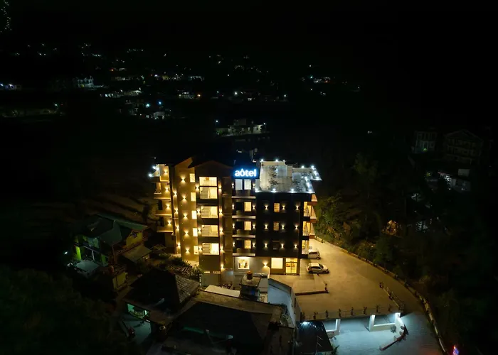 Aotel By Clarks Inn Palampur