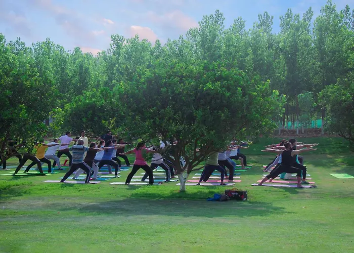 Solis Wellness Retreat