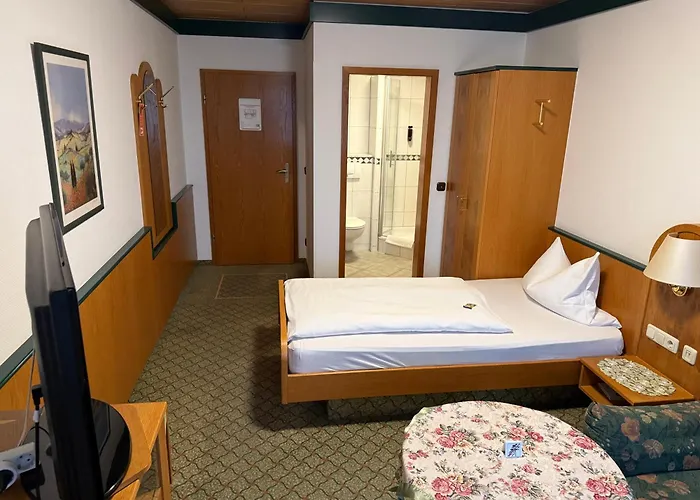 Hotel Hubertus Gernsheim Rhein