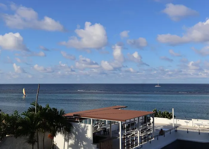 Ocean Palms