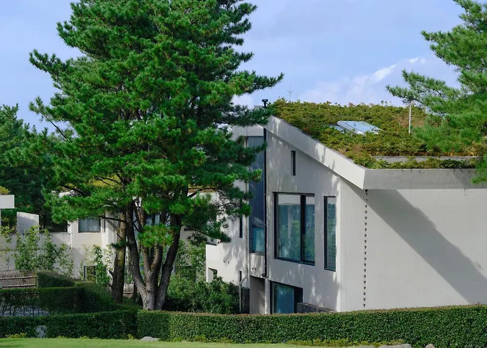 Amber Pure Hill Hotels & Resorts Jeju