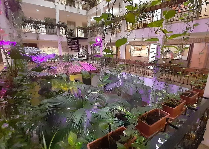 Solitaire Hotel