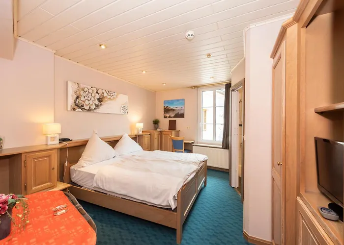 Logis Hotel-Restaurant Petry