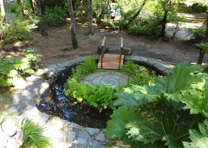 Pucon Volcano Forest Spa