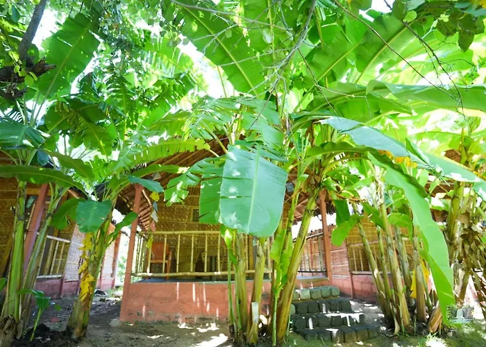 Hampi Waterfall Cottages