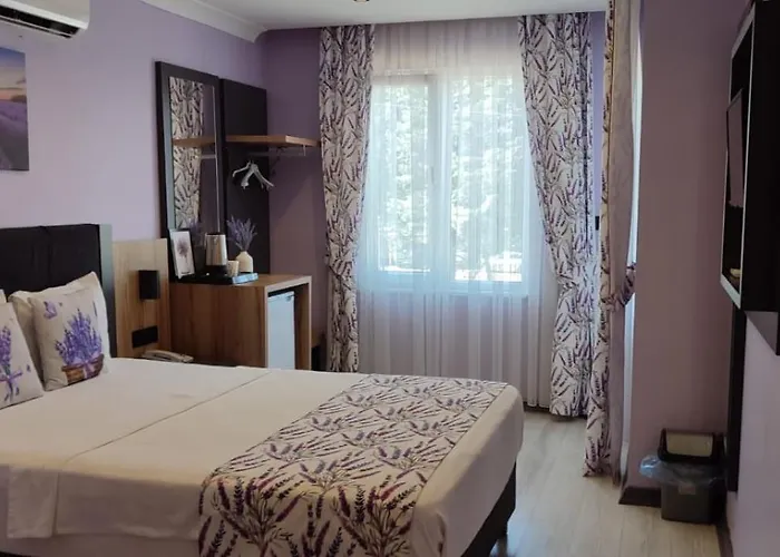 Roy Otel