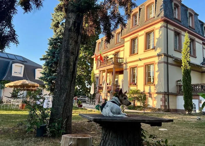 Hôtel Le Manoir