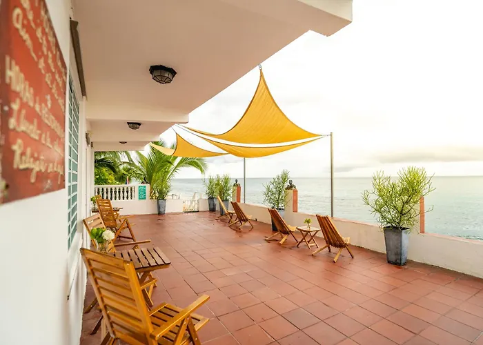 Coconut Palms Rincon