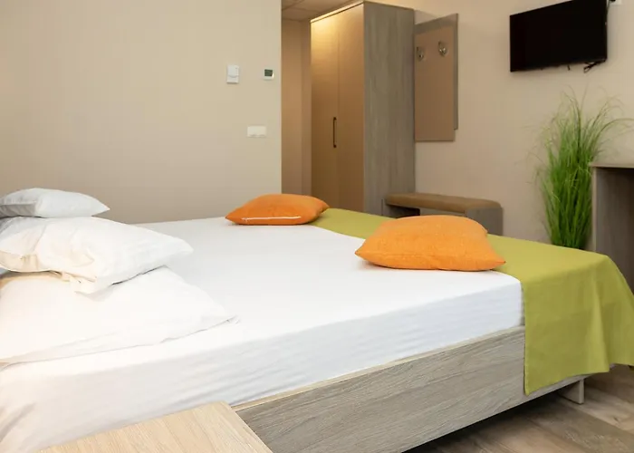 Hotel Nicoleta