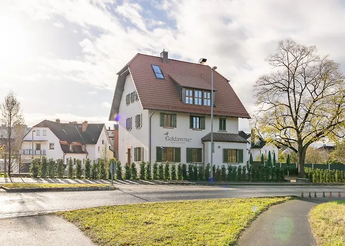 Goldammer Aschaffenburg