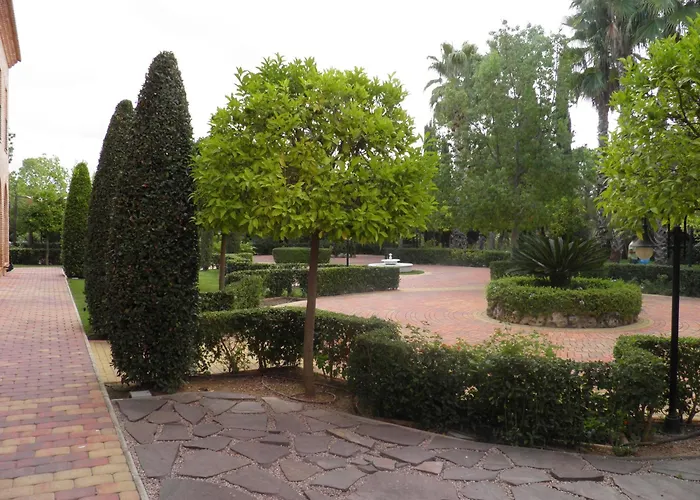 Ad Hoc Parque