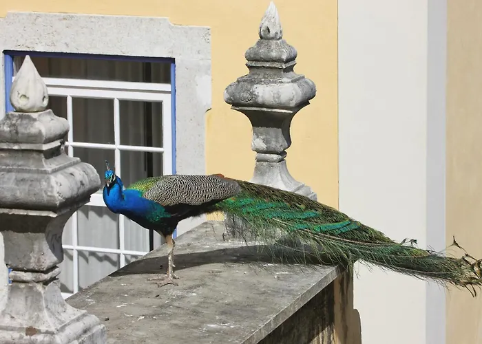 Solar Do Castelo - Lisbon Heritage Collection - Alfama