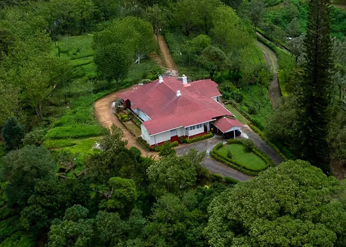 Sereniva Orange Grove Bungalow
