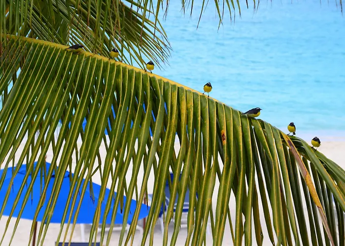 Shoal Bay Villas