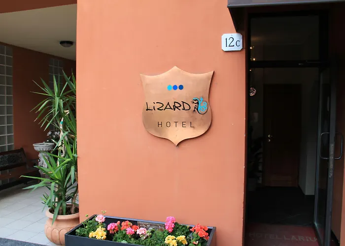 Lizard Hotel