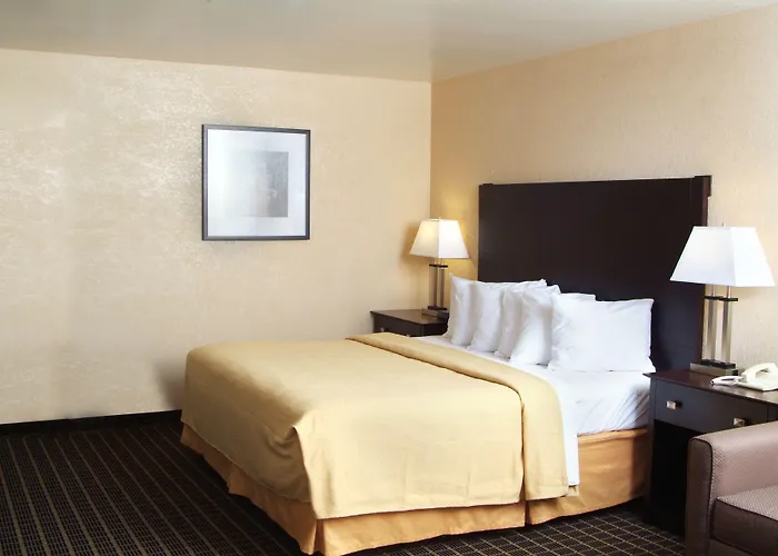 Quality Inn & Suites Big Rapids Near University