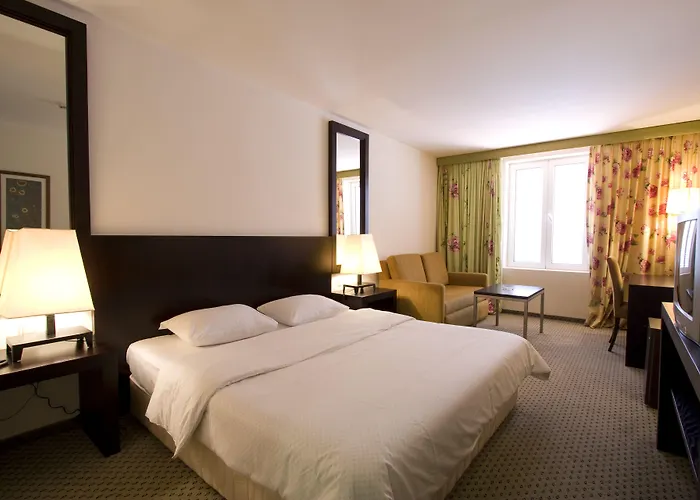 Hotel International
