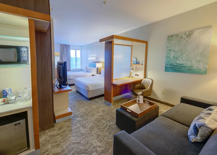 Springhill Suites By Marriott Macon