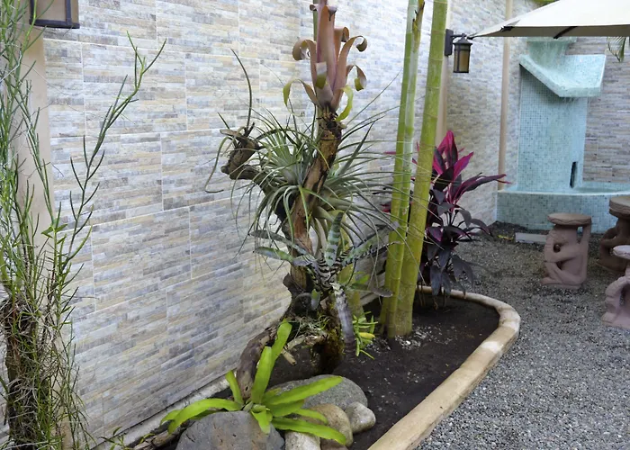 Physis Caribbean Bed & Breakfast