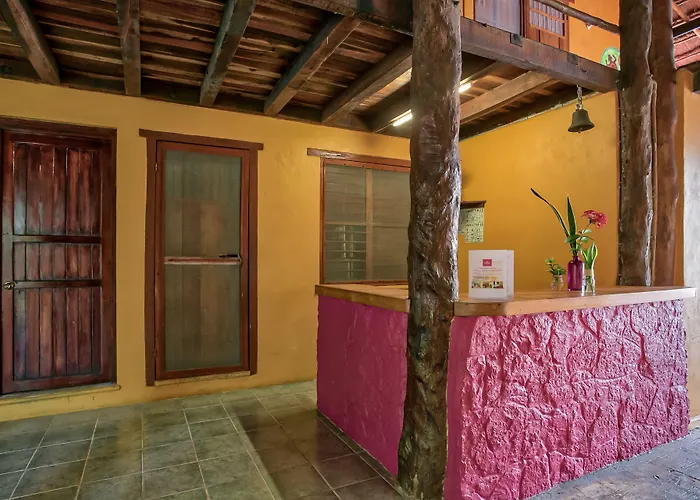 Koox City Garden Hotel Playa del Carmen