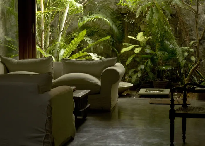 Mount Lodge Boutique Hotel