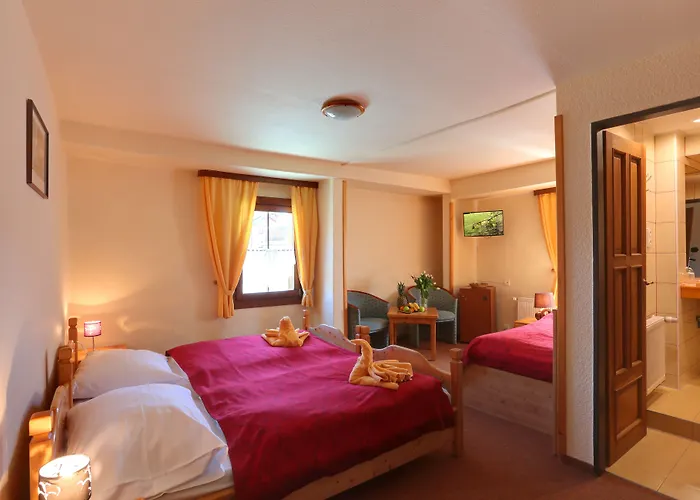 Hotel Zeleny Dum
