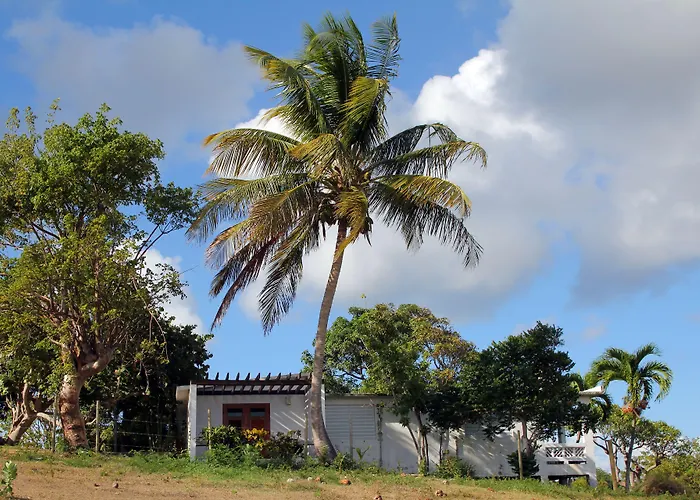 Hacienda Tamarindo