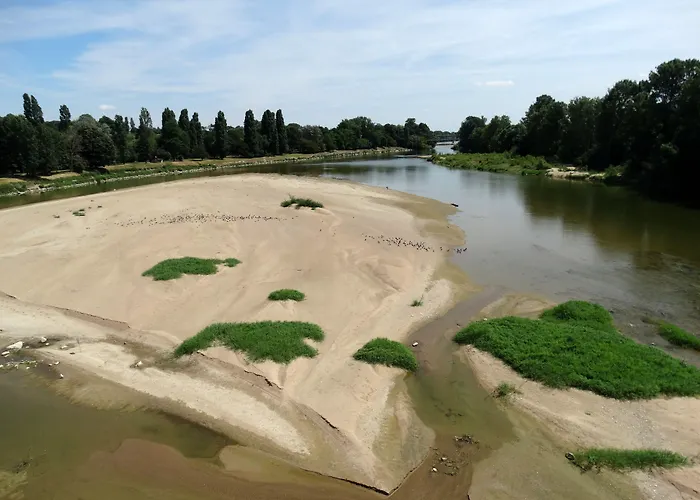 Castel Fleuri