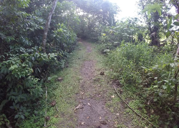 Arenal Xilopalo