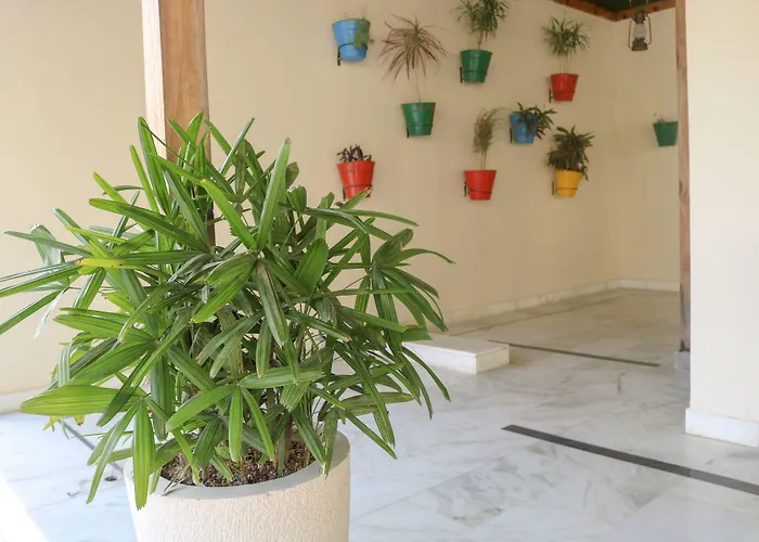 Brahma Horizon Hotel & Spa - Pushkar