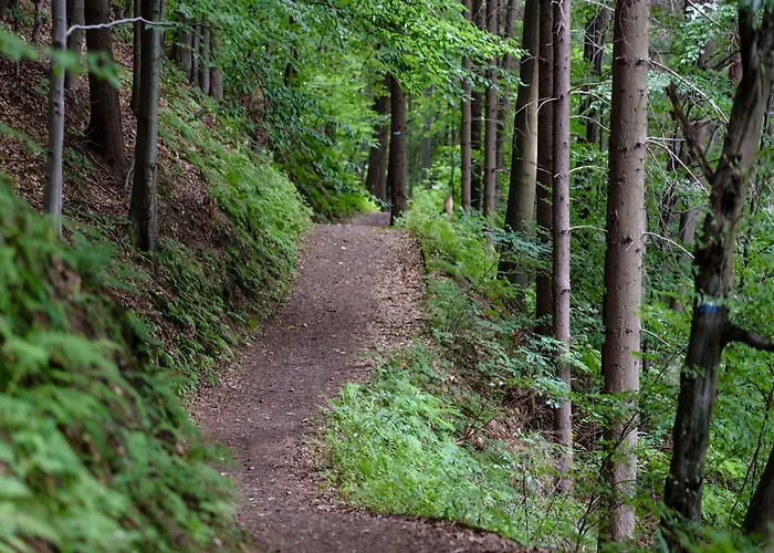 LiebesNesterl Bergwirt - Boutique Hotel