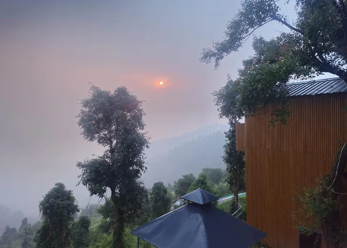 Wild Way Resort