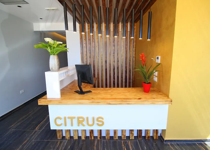 Hotel Citrus