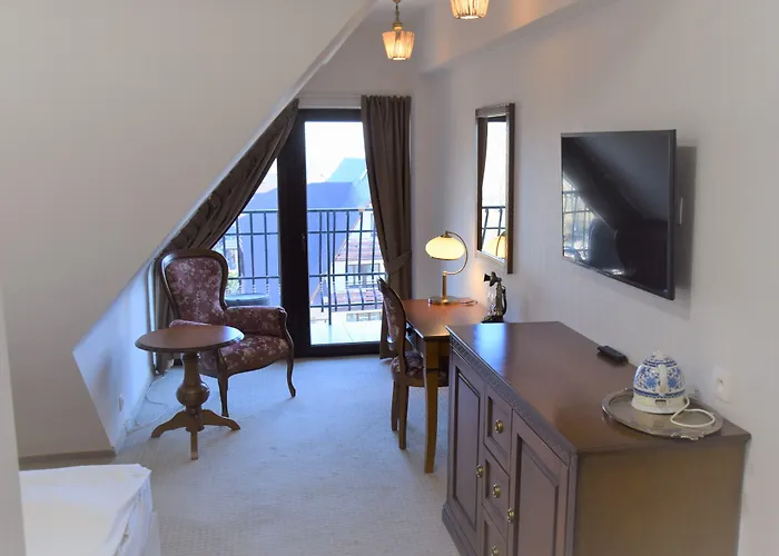 Hotel Paryski Art & Business Zakopane - Basen Jacuzzi Sauna Malpi Gaj