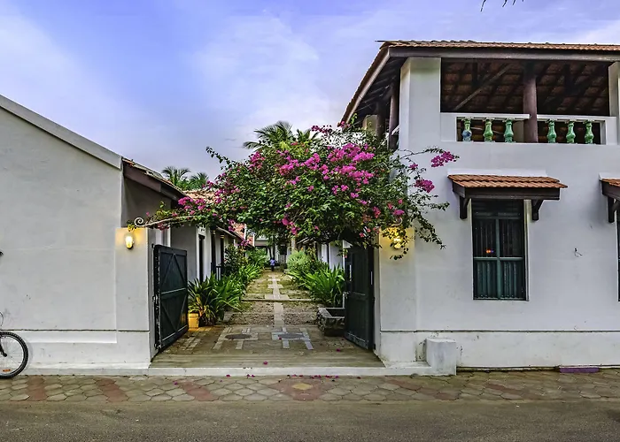 Neemrana'S Coconut Alley