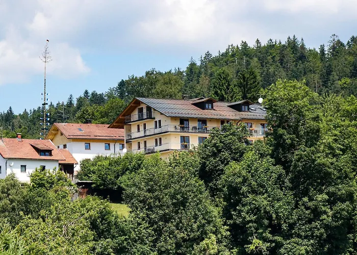 Das Palmberger